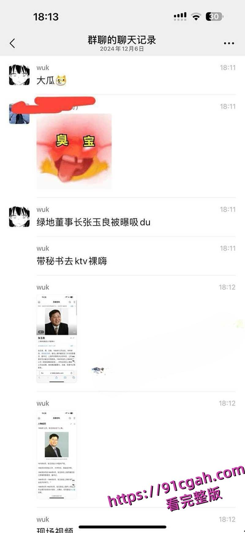 上海绿地集团董事长总裁张玉良性丑闻 张玉良吸毒 带女秘书去KTV裸嗨！-9