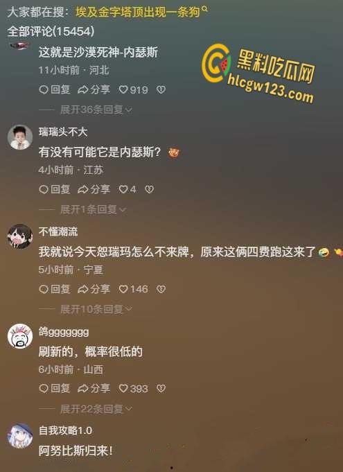 狗狗硬爬126米金字塔顶，狂吠耍帅当“法老”，稳稳下塔震惊全球！-2