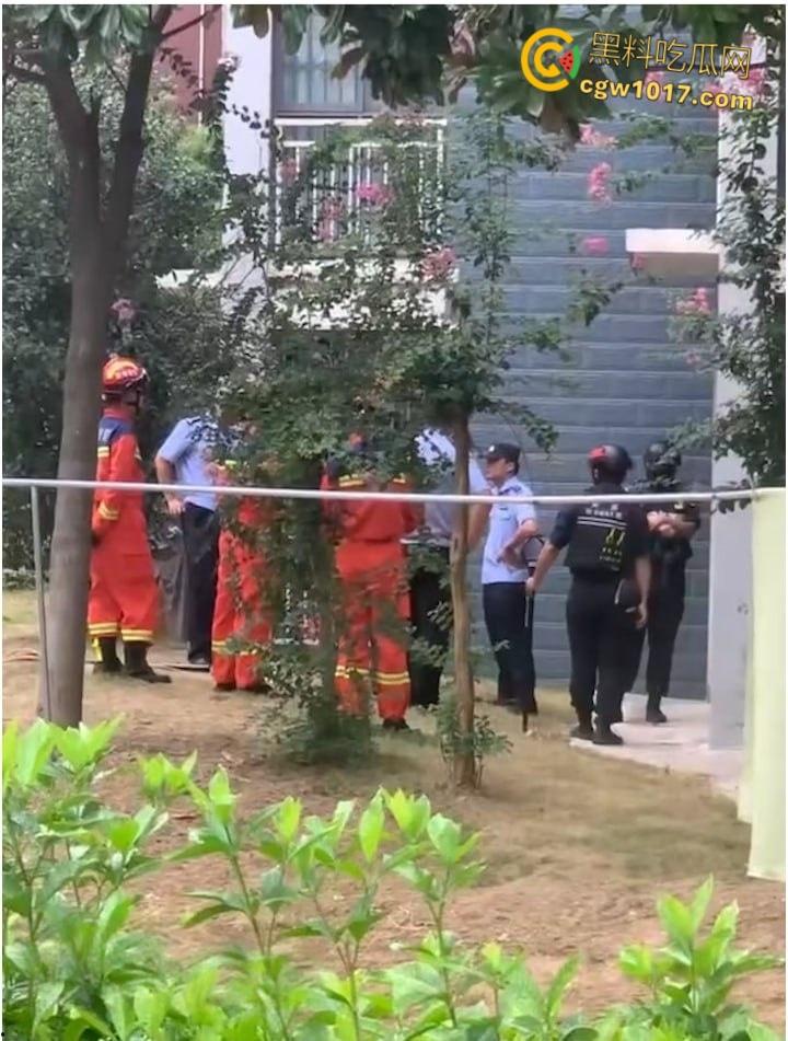 安徽马鞍山和县京都公馆，一头野猪将居民门撞坏后跑进居民家里，公安携带猎犬和道具将野猪麻醉 ！-2