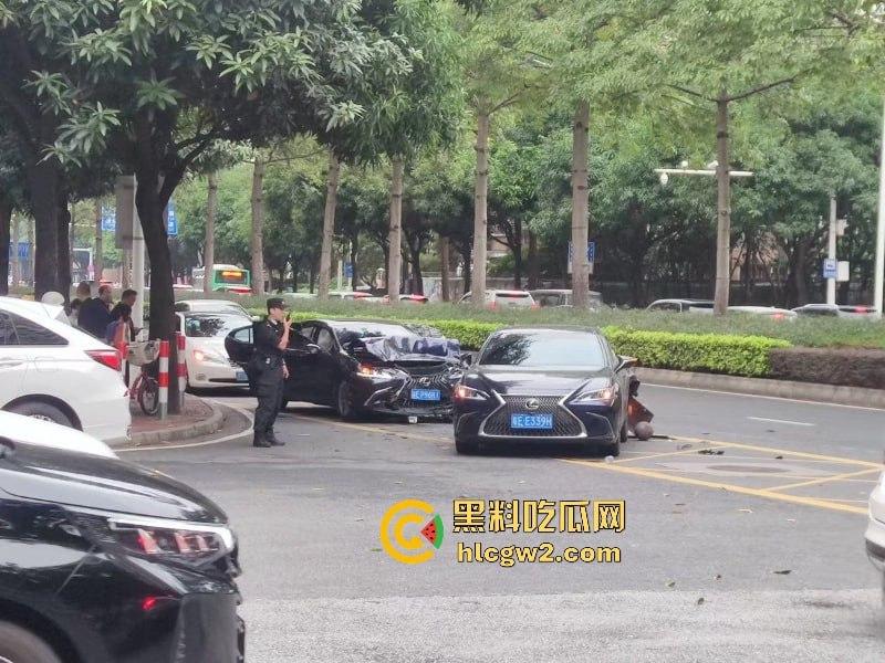 想死拉个垫背的？ 广东佛山禅城一男子驾车无视红灯撞死路人 现场碾人视频流出-4