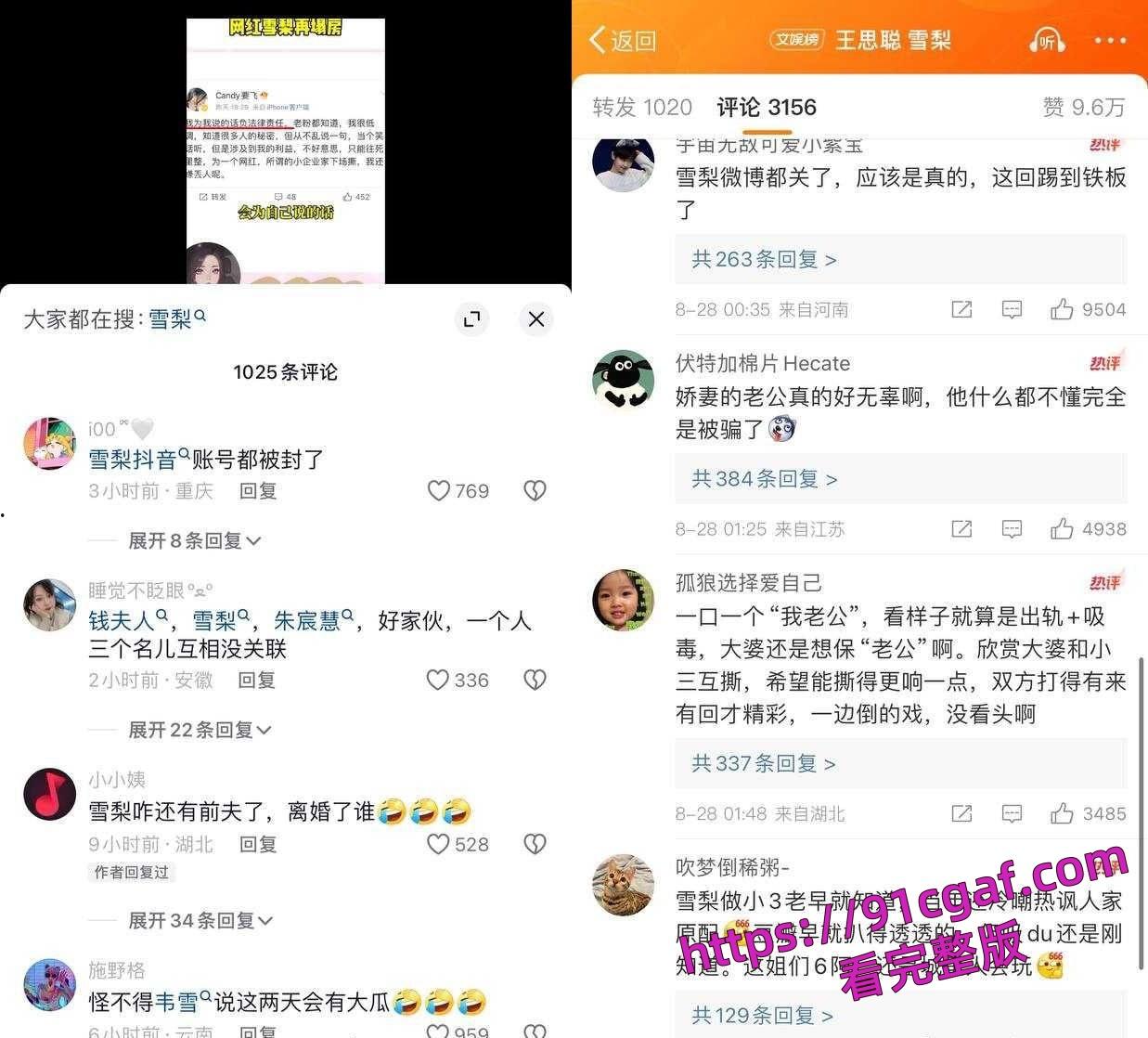王思聪前女友雪梨当小三及吸毒被曝光 同时王思聪还被曝是个双性恋-5