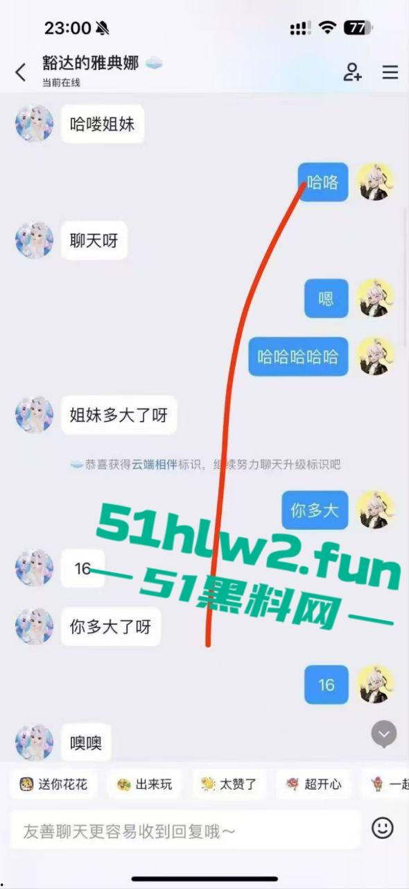 清纯可爱的少女遭到瓜友的调戏，曝光了聊天记录以及喜欢用电动棒震豆豆的自慰视频。-4