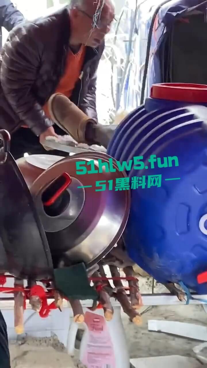 河南镇平庙会游乐设施发生故障致一家三口瞬间高空坠落，一死两伤现场惨不忍睹。-1