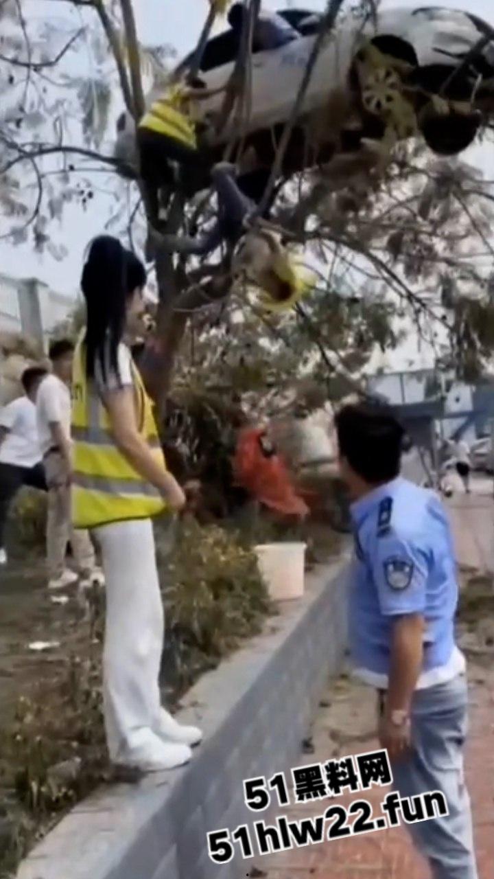 小刀拉屁股开了眼了，宜宾长宁驾校一教练教女学员开车一脚开飞直接上树，这车技也是没谁了！-5