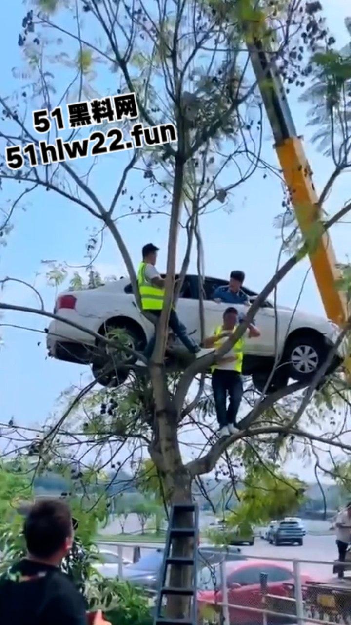 小刀拉屁股开了眼了，宜宾长宁驾校一教练教女学员开车一脚开飞直接上树，这车技也是没谁了！-7