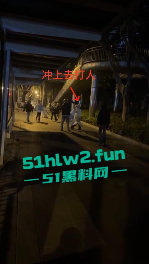 网传两群精神小伙天桥下约架，谁跳砍谁蒙面刀客低调上场，人狠话不多提起就是一刀儿。-2