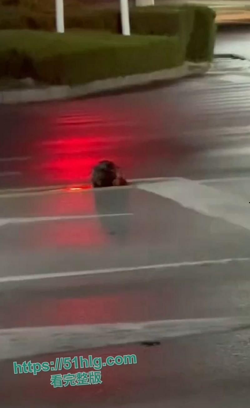 【山东诸城】繁荣路惊现死人头！伫立在马路中央周边血迹斑驳，路过行人被吓的当场昏厥，胆小勿入！-1